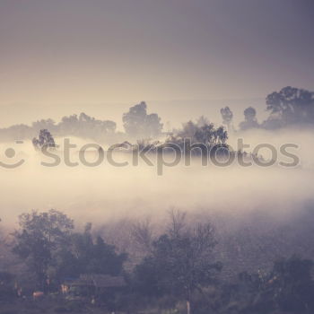 Similar – Image, Stock Photo the city in the distance III