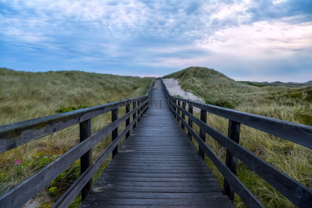 Similar – Image, Stock Photo Landscape in the dunes on the island of Amrum