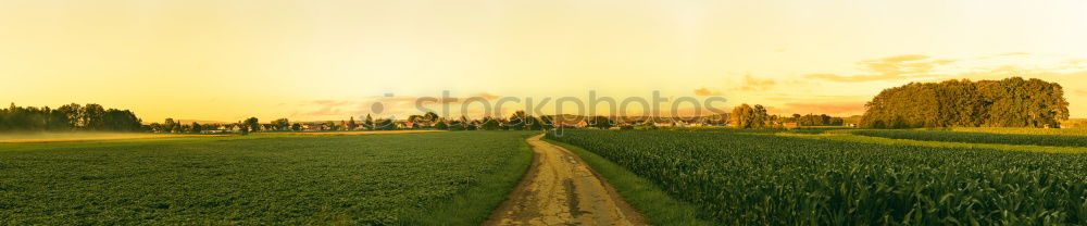 Similar – Image, Stock Photo loner Nature Landscape Sky