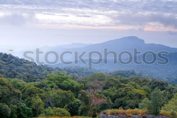 Similar – Tropical landscape in the morning