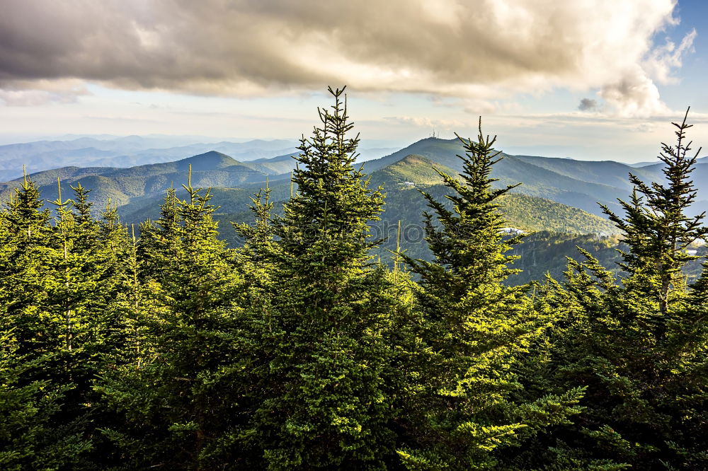 Similar – Image, Stock Photo Diamond Peak Landscape