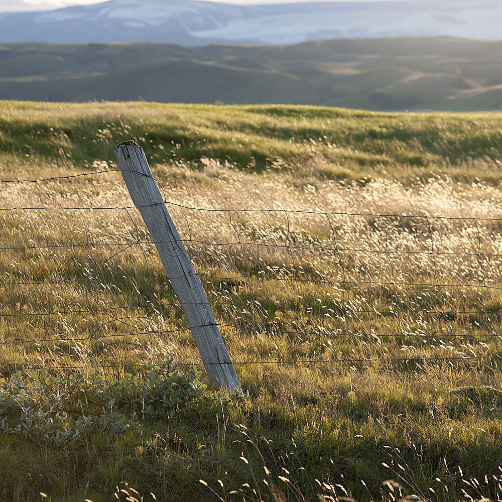 Similar – Image, Stock Photo A long way through the green