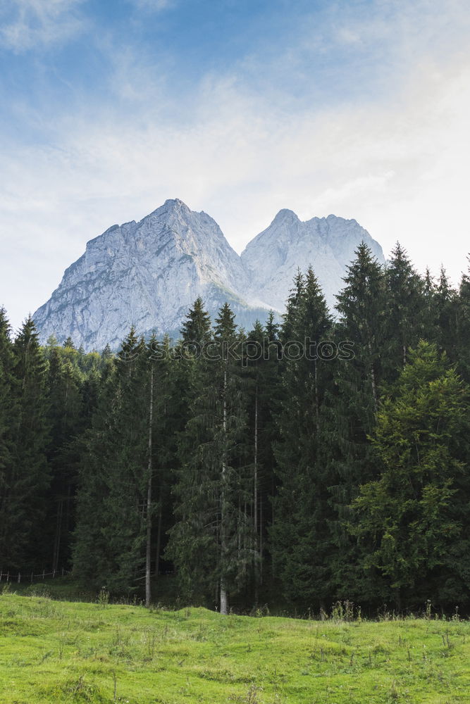 Similar – Image, Stock Photo Dolomites Forest White