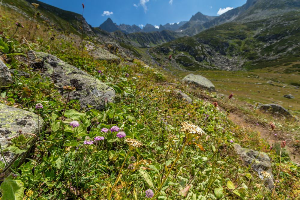 Image, Stock Photo # 816 Three peaks