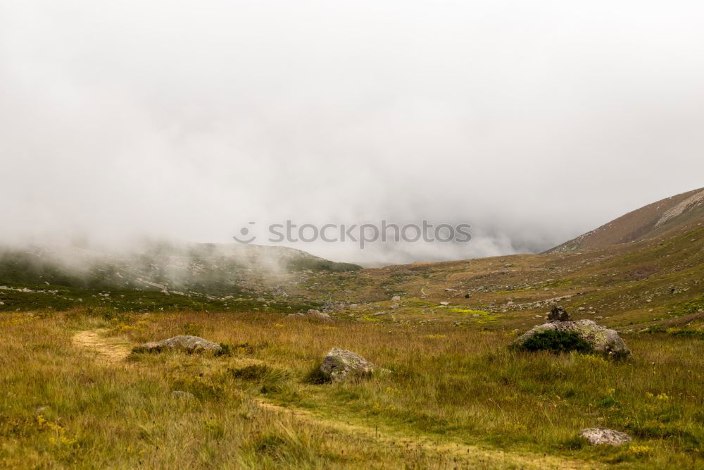 Similar – Image, Stock Photo Prags high alp Italy