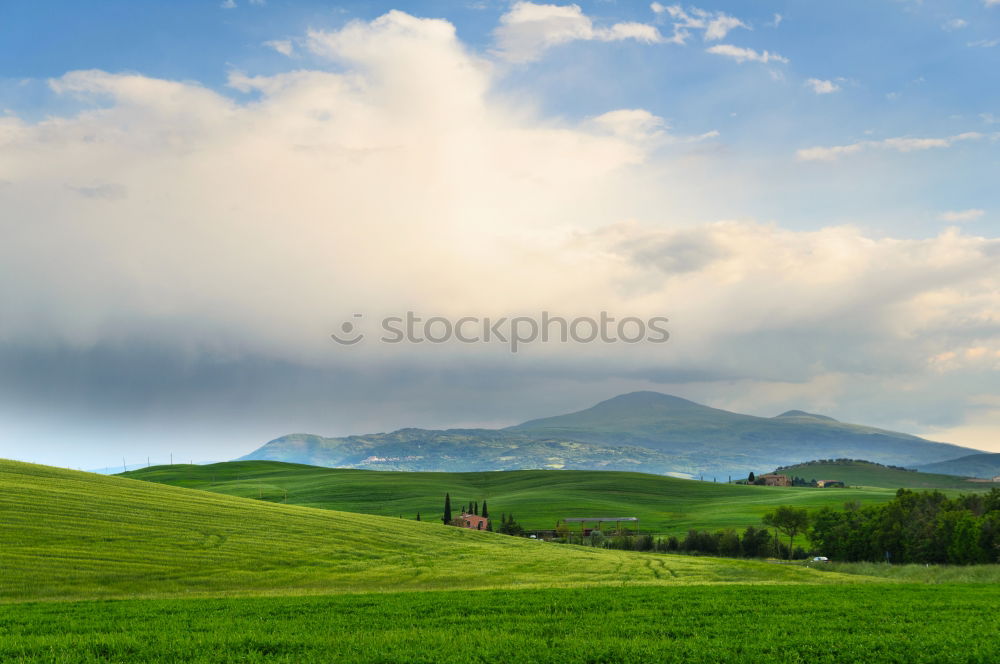 Similar – Image, Stock Photo Spring storm in mountains panorama. Dandelion meadow.