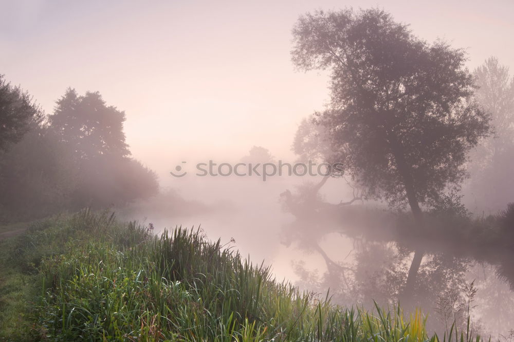 Similar – Image, Stock Photo Winter mood II