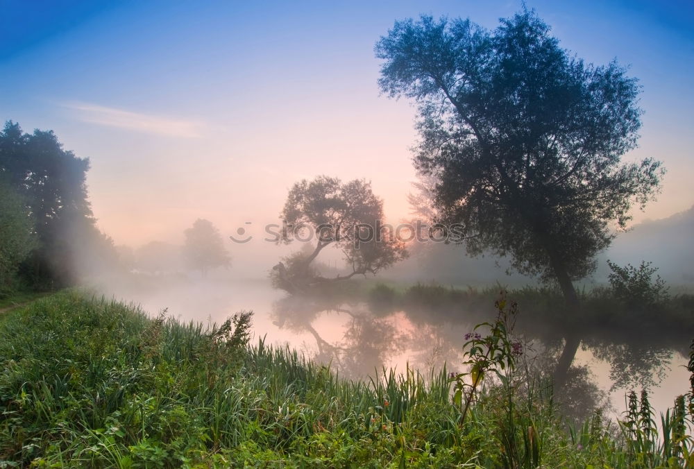 Similar – Image, Stock Photo Summer misty sunrise on the river. Foggy river in morning