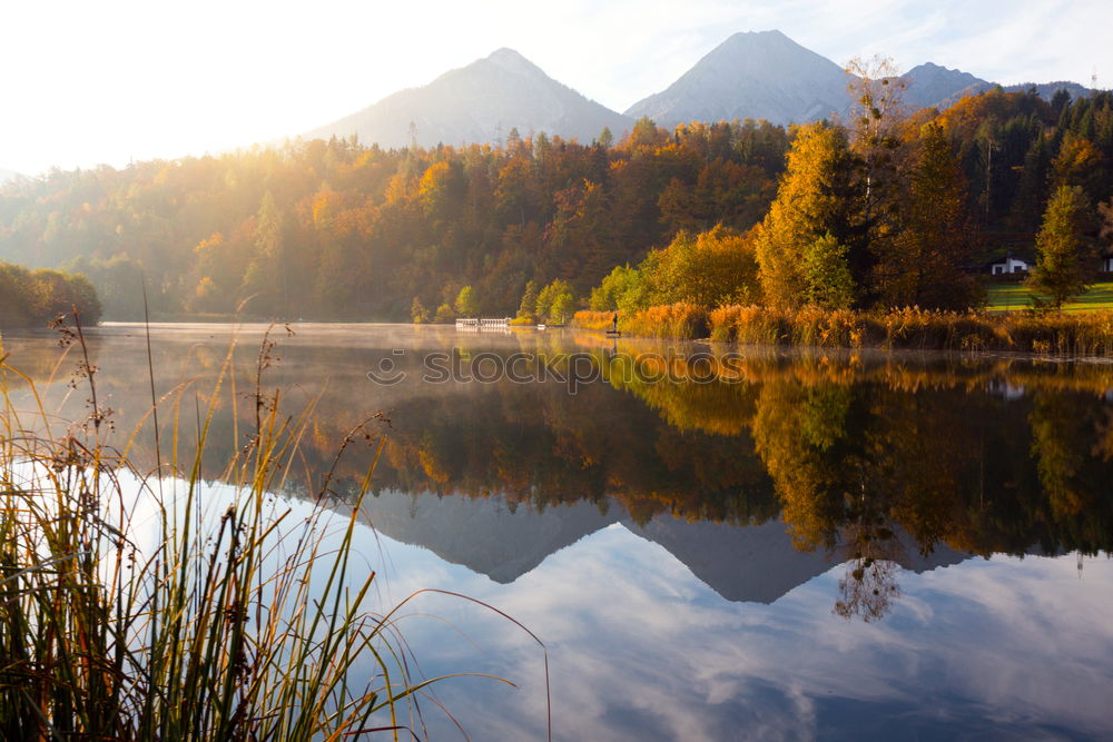 Similar – Image, Stock Photo … by the lake Pond Water