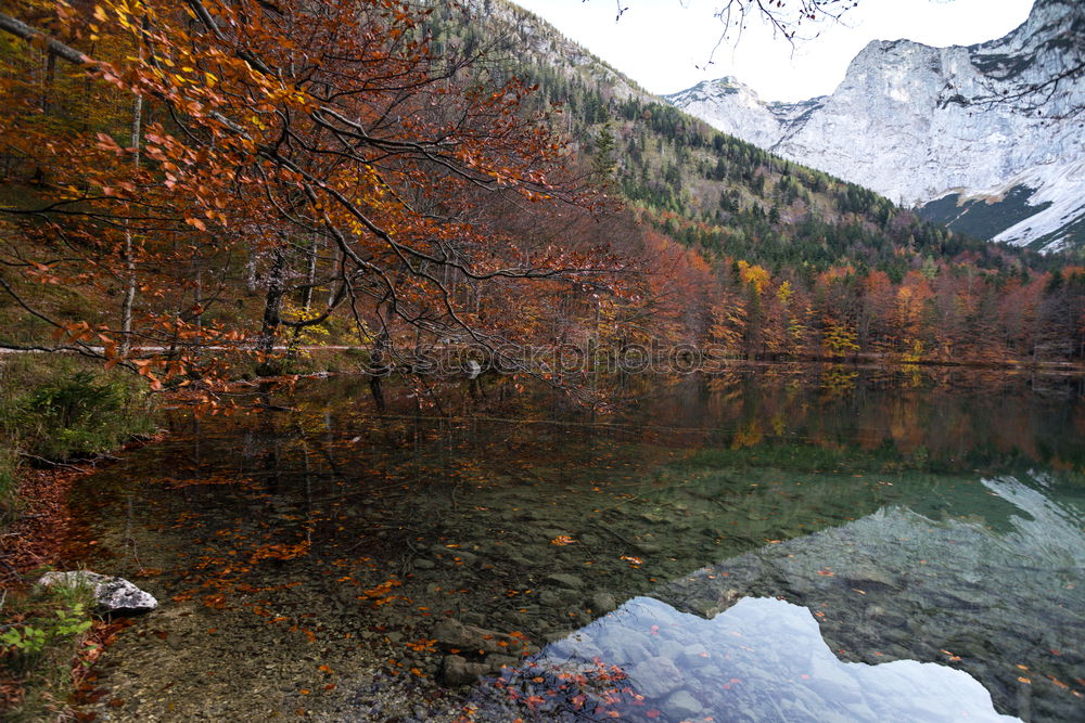 Similar – Image, Stock Photo Autumn at Duisitzkarsee lake