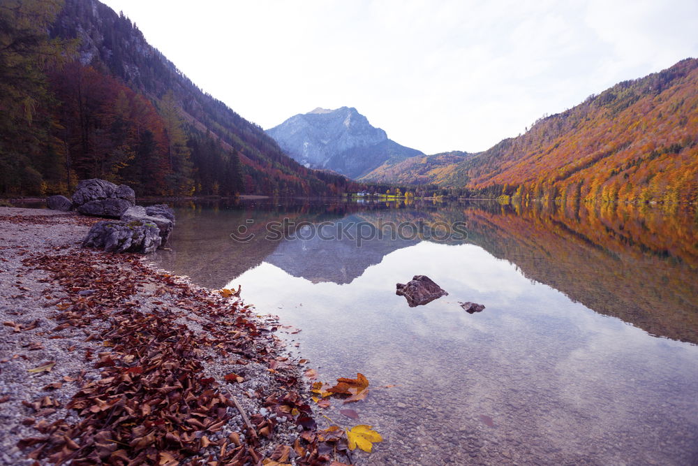 Image, Stock Photo Las de Bious-Artigues