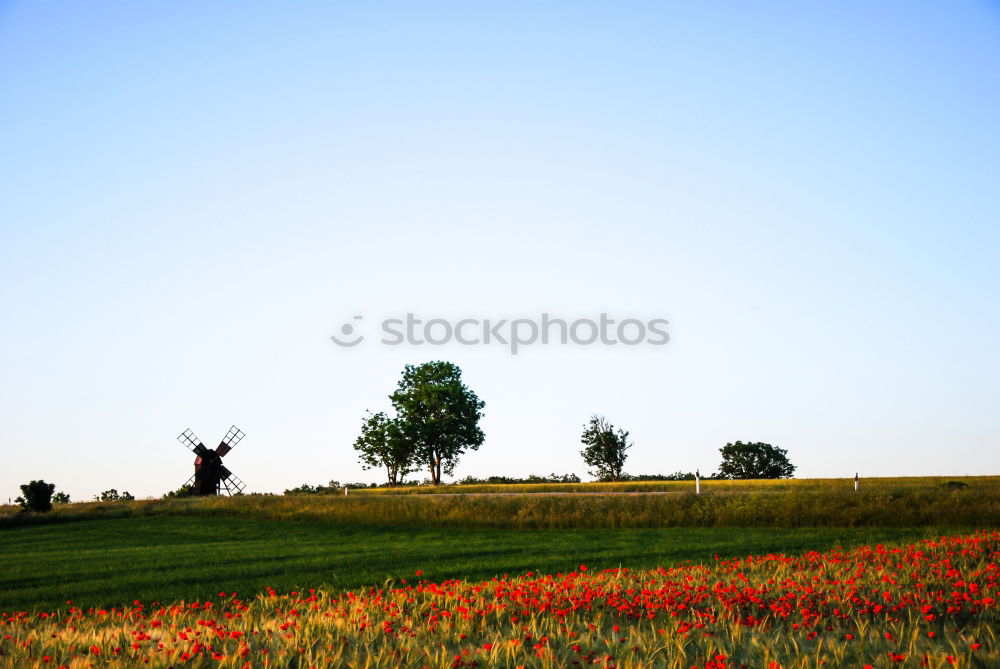 Similar – Image, Stock Photo highway Harmonious