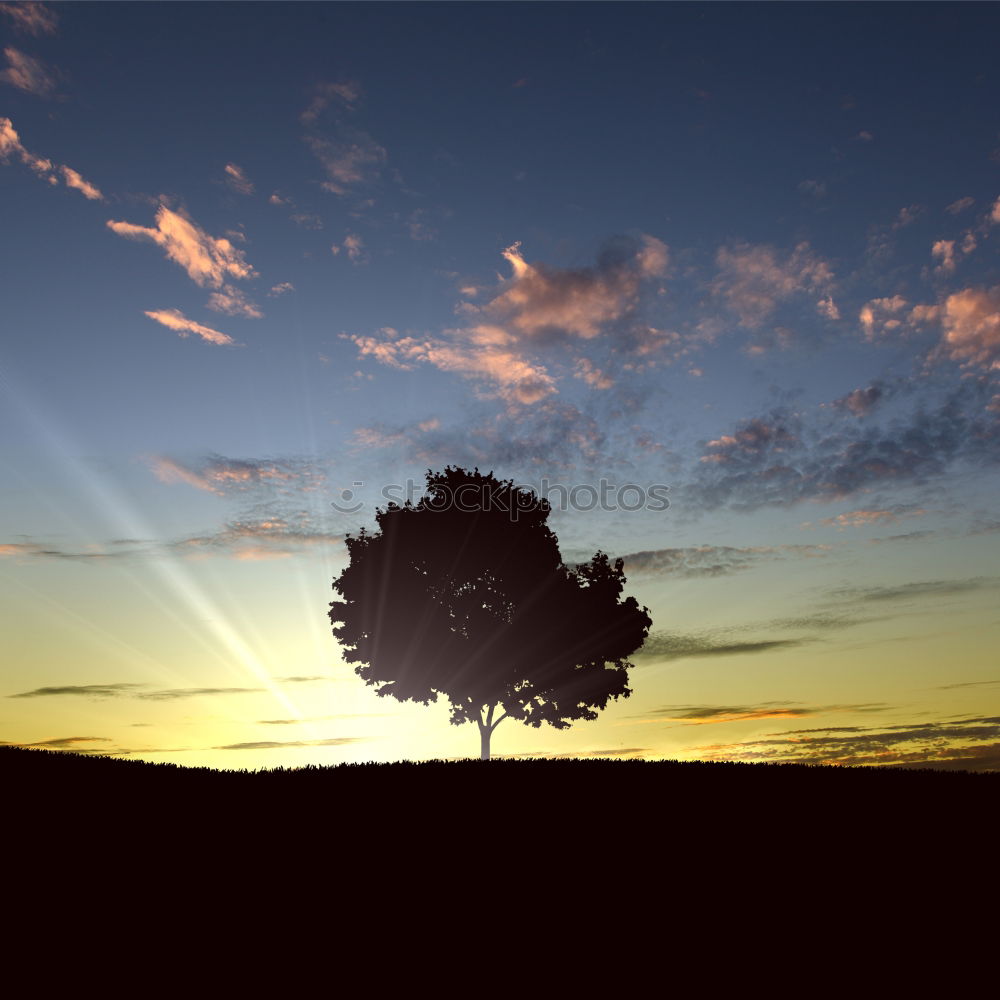 Image, Stock Photo togetherness Sunset