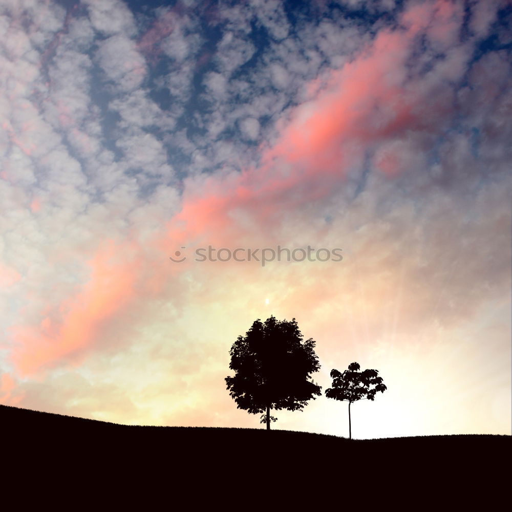 Similar – Image, Stock Photo Sunset in Baden Tree