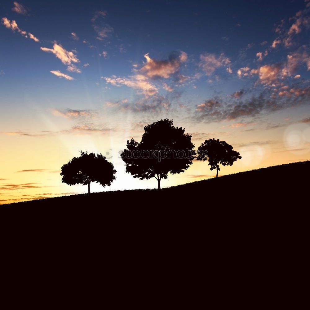 Similar – Image, Stock Photo Sunset Environment Nature