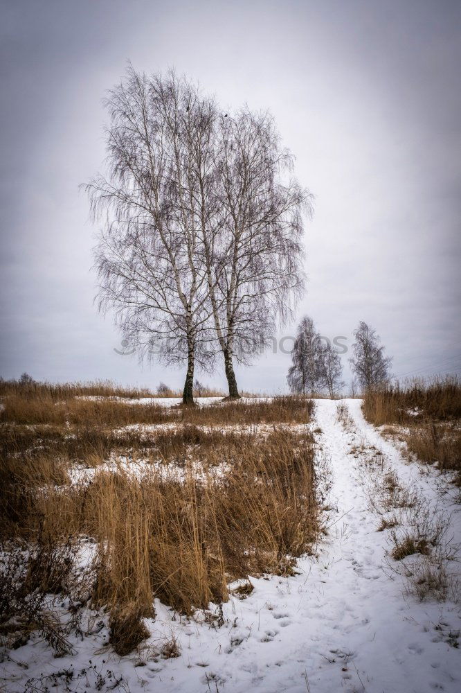 Similar – Windig heute Umwelt Natur