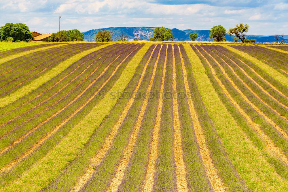 Similar – agriculture Workplace