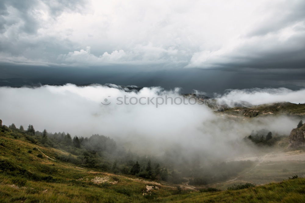 Similar – Wo sind die Kühe? Wolken