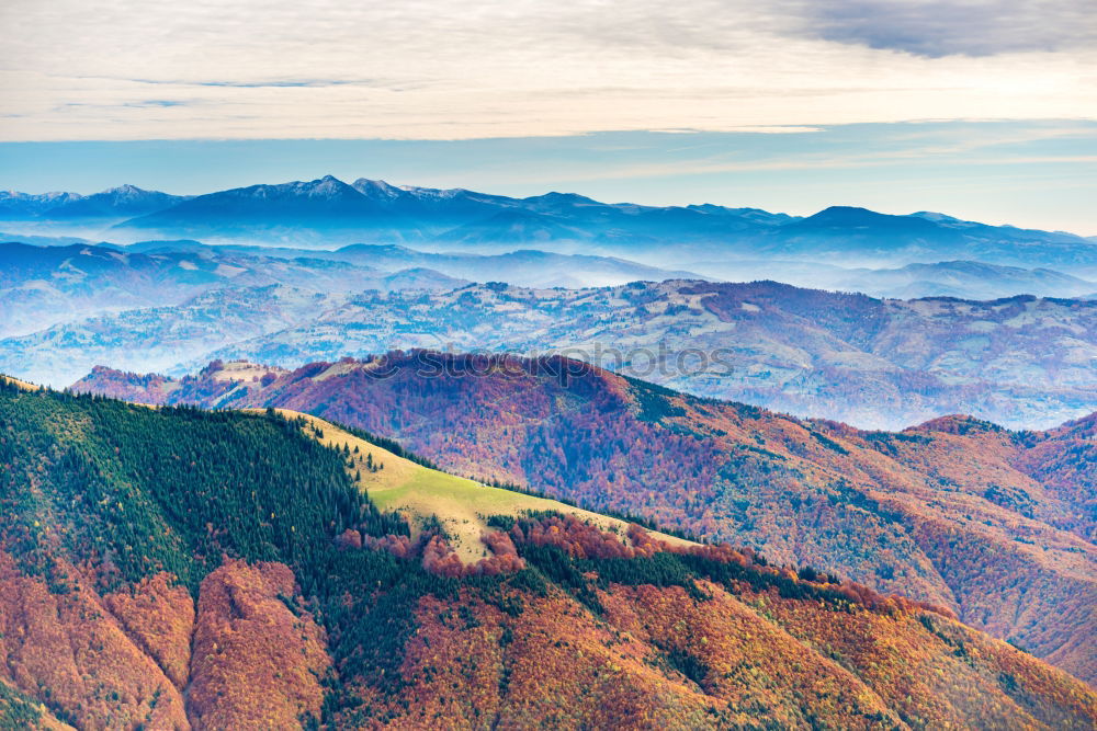 Similar – Beautiful orange and red autumn forest panorama