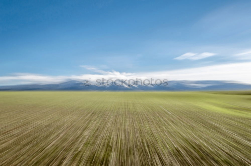 Similar – Image, Stock Photo Horses around Song Kul lake, Kyrgyzstan