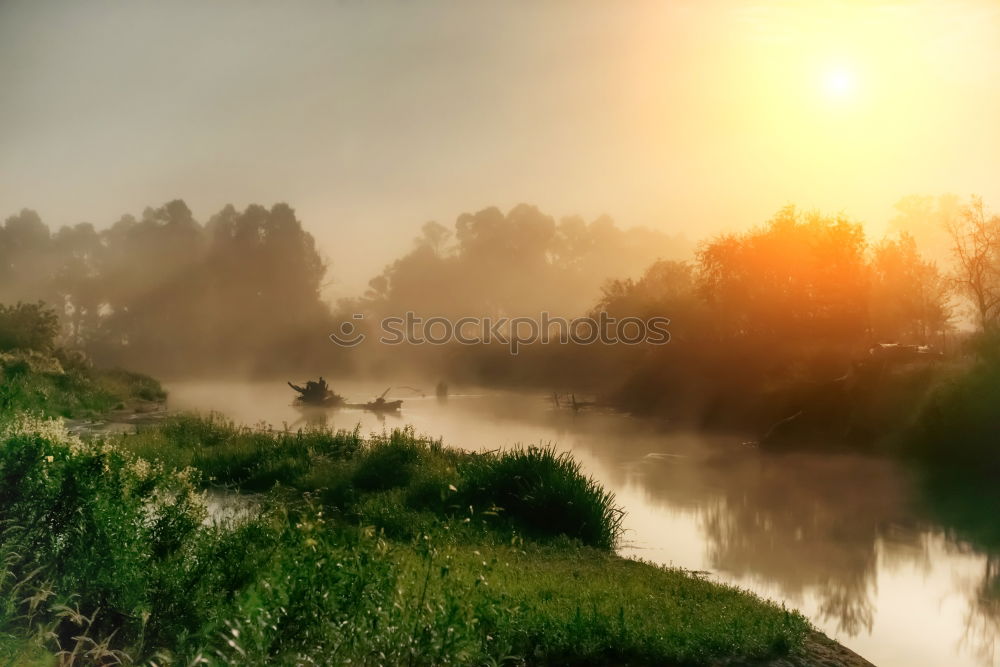 Similar – Image, Stock Photo Florence on the Elbe Trip