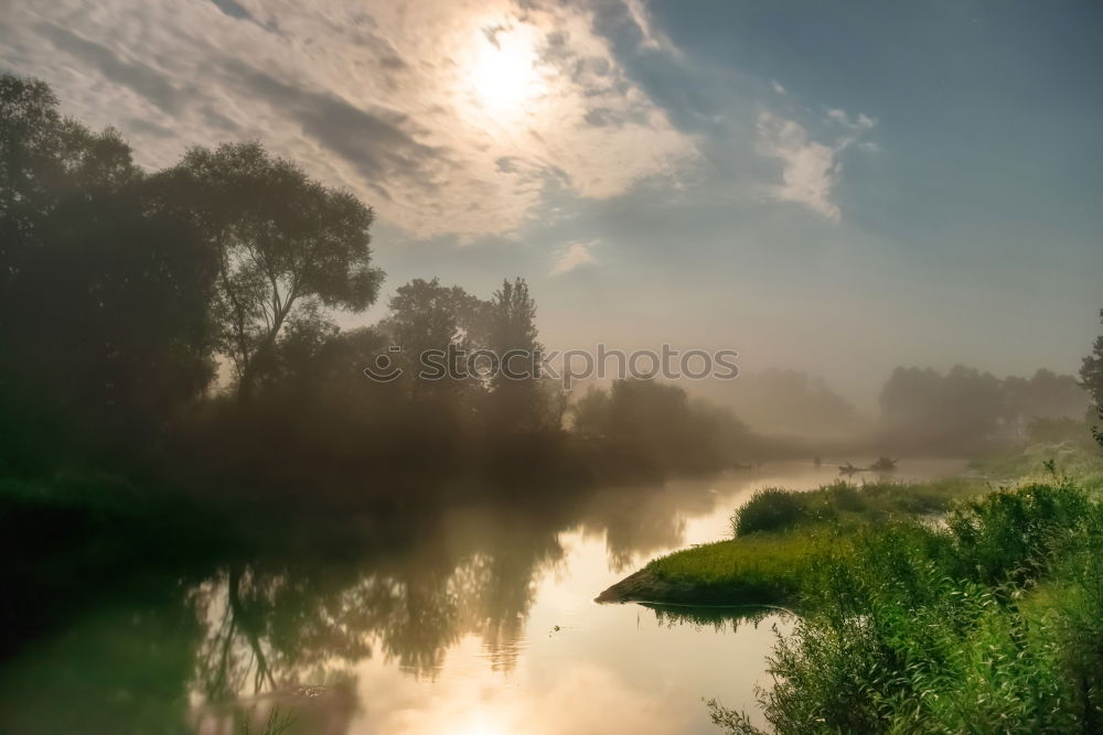 Similar – Image, Stock Photo Spreedorado Decorative Crawling Morning Fog.