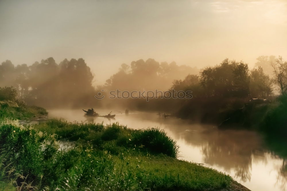 Similar – Sonnenaufgang an der Elbe mit Schwanen Paar und Brücke