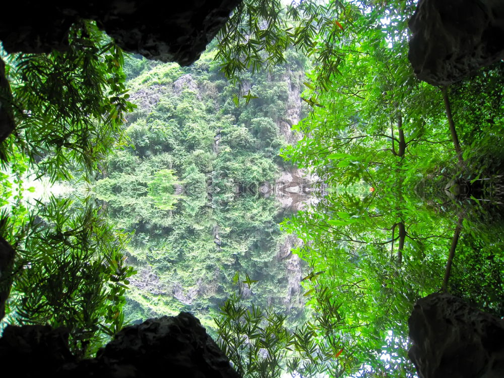 Similar – Image, Stock Photo Looking up in the beer garden