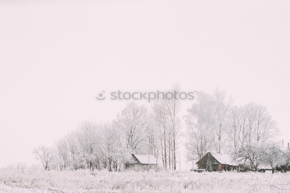 Similar – Image, Stock Photo Winter in the country