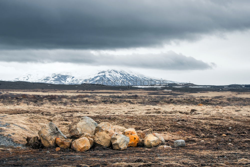 Similar – Isle of skye Scotland Sheep