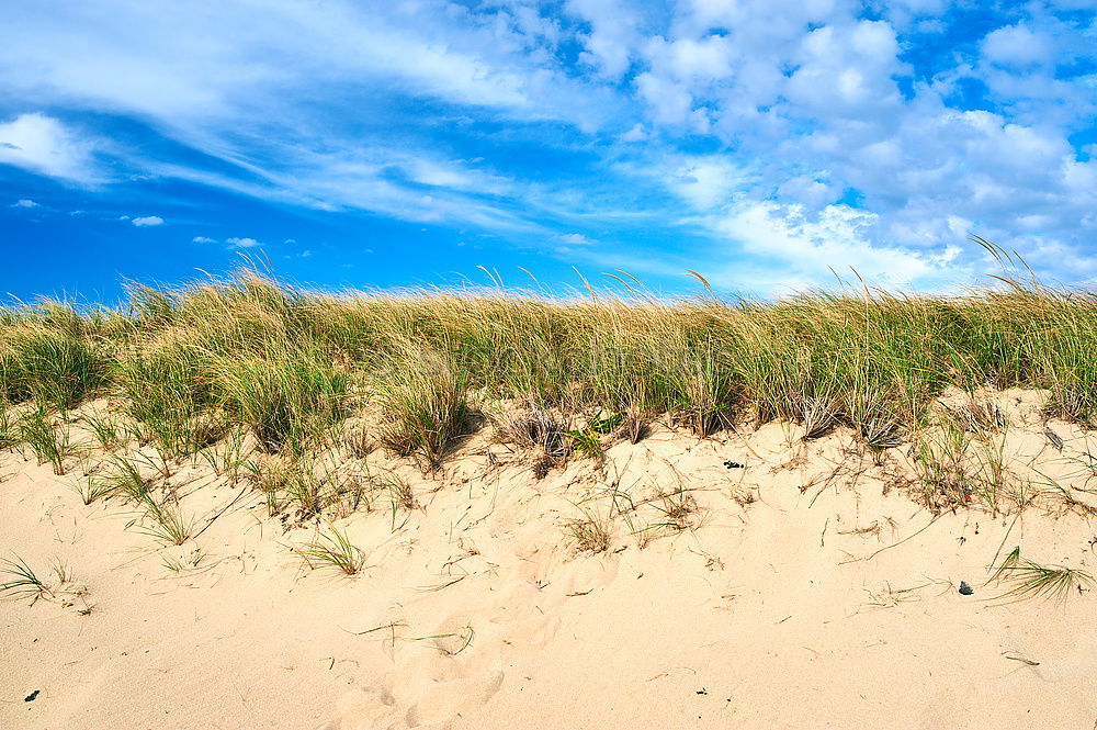 Similar – Baltic Sea in Sweden