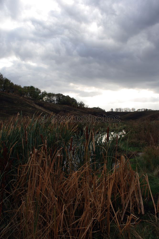 Similar – Foto Bild Todesbrückle dunkel Bach