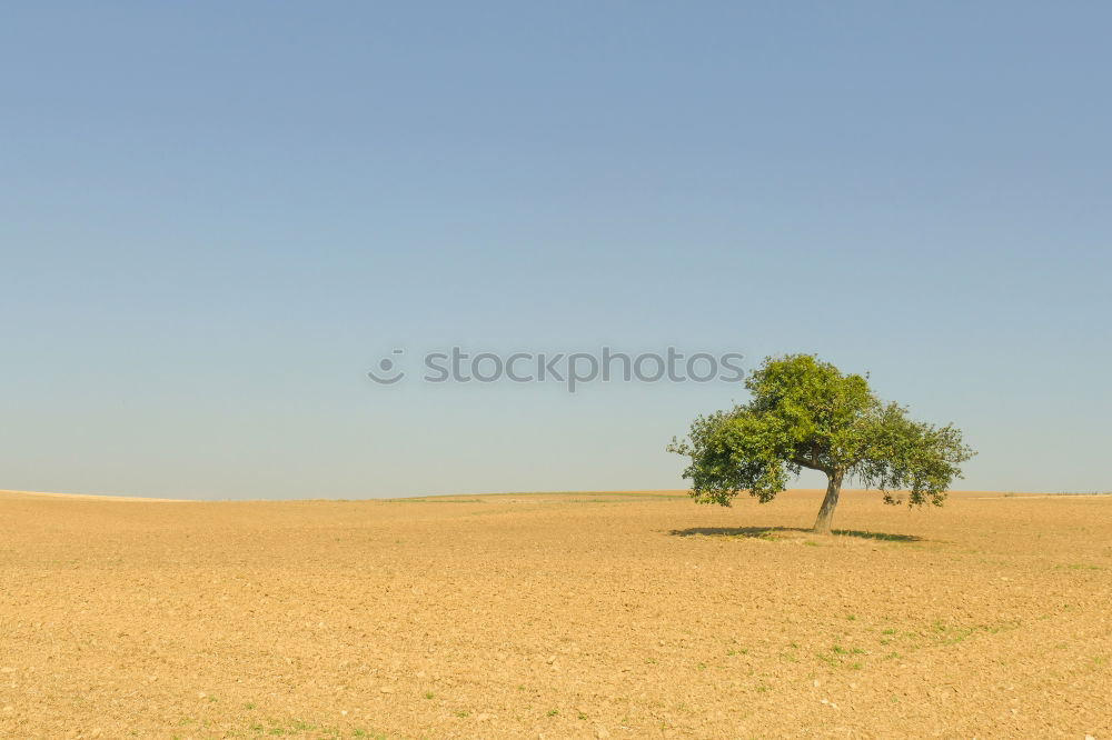 Image, Stock Photo midsummer Landscape