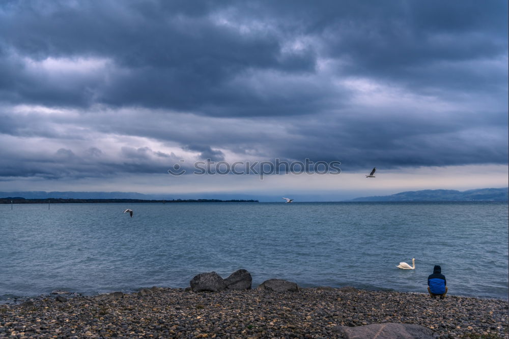 Similar – Image, Stock Photo Storm over Lake Garda II