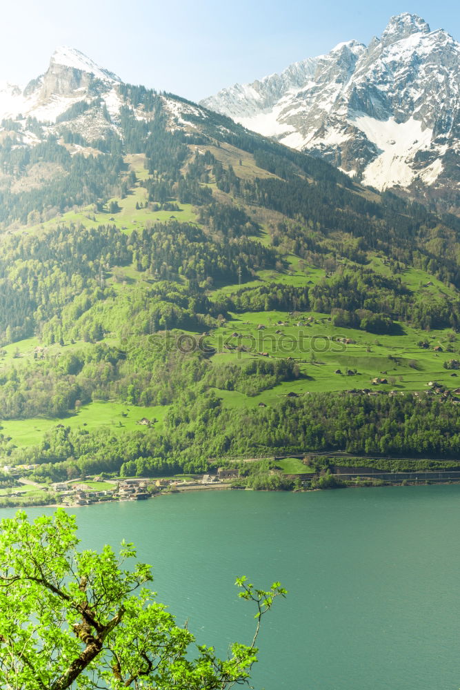 Similar – Image, Stock Photo Spiez on Lake Thun