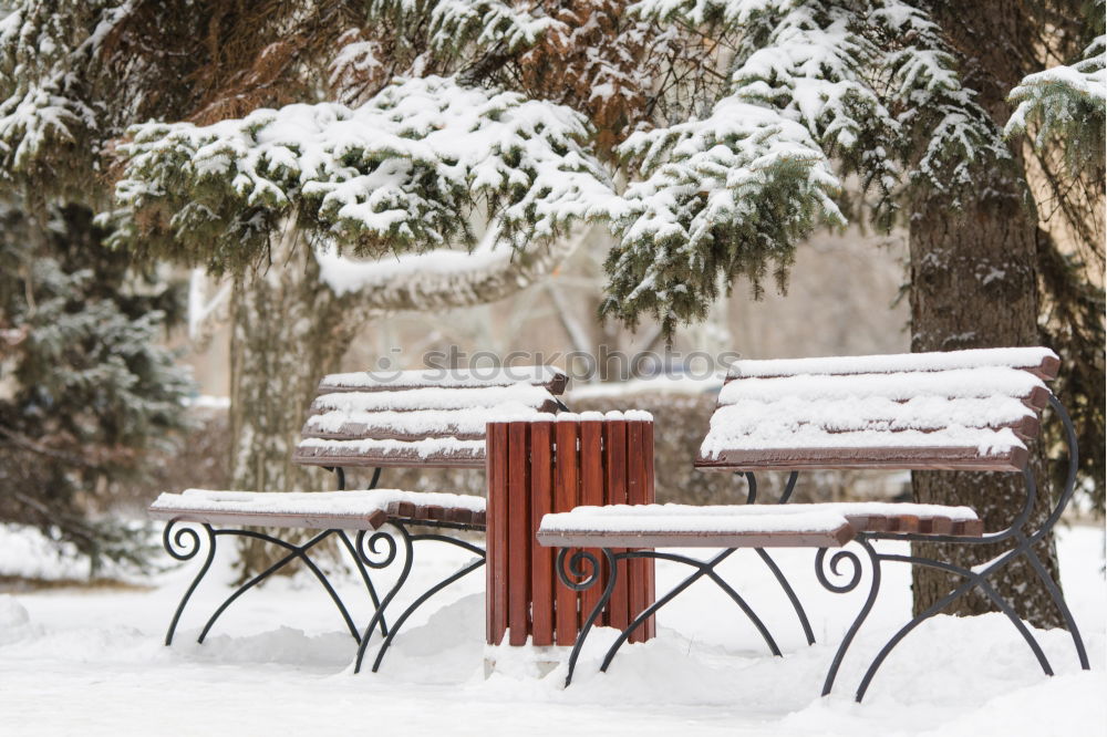 Similar – Wintermärchen Erholung