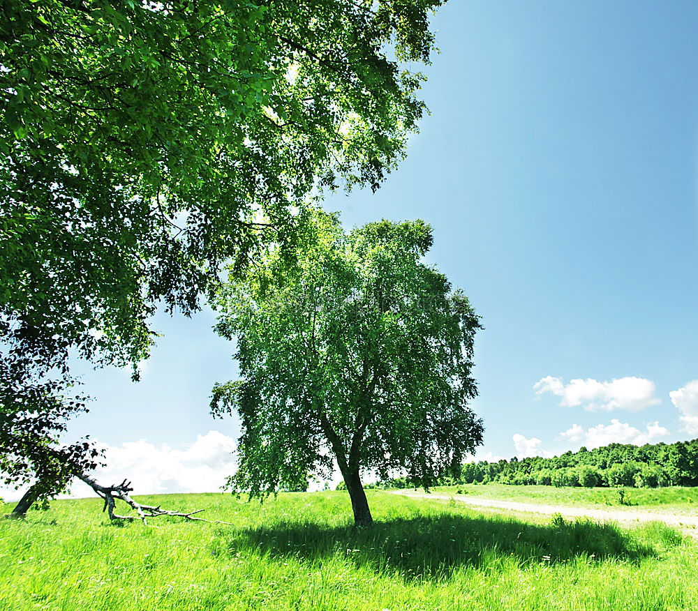 Similar – Image, Stock Photo Rummelsburger Bay