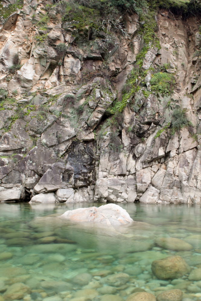 Similar – Image, Stock Photo Woman posing on tropical stream