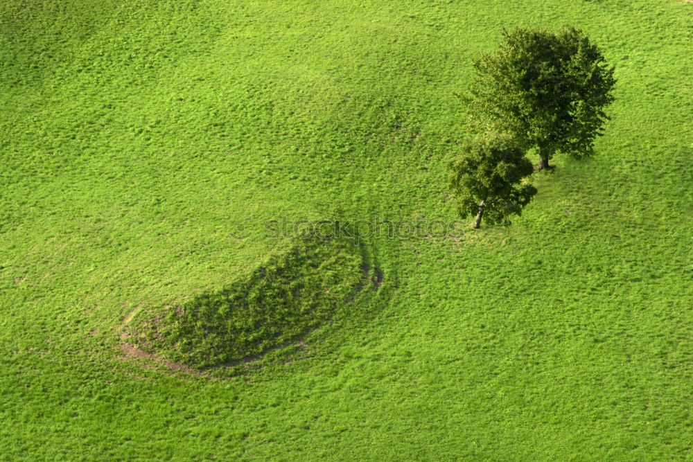 Similar – Foto Bild rasendes herz original mit pfeil