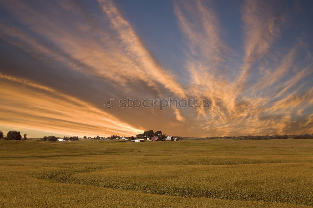 Similar – Image, Stock Photo Breton Agriculture