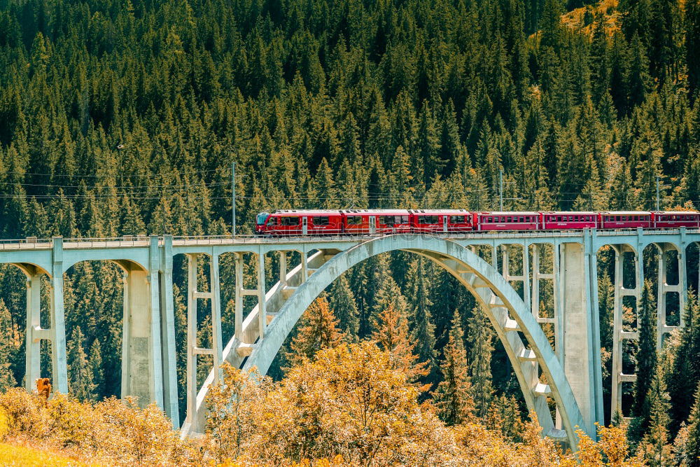 Similar – Image, Stock Photo Bernina Express in the autumn forest near Pontresina