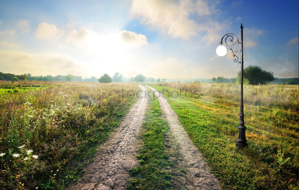 Similar – Paved Road Sky Rock Street