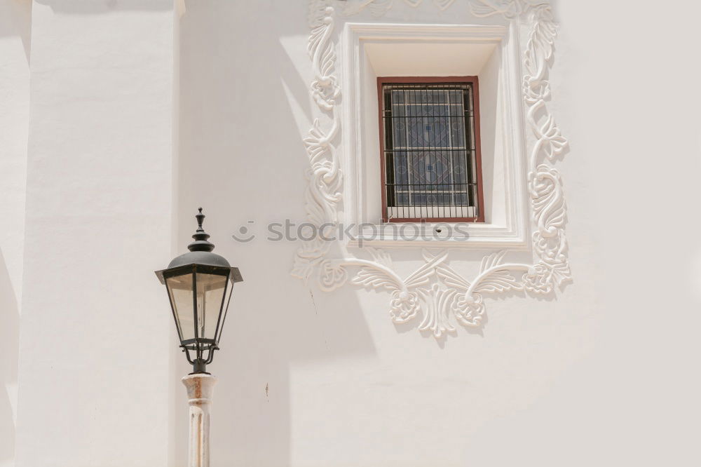 Similar – Image, Stock Photo Eurasian blue tit (Cyanistes caeruleus) and DIY nest box