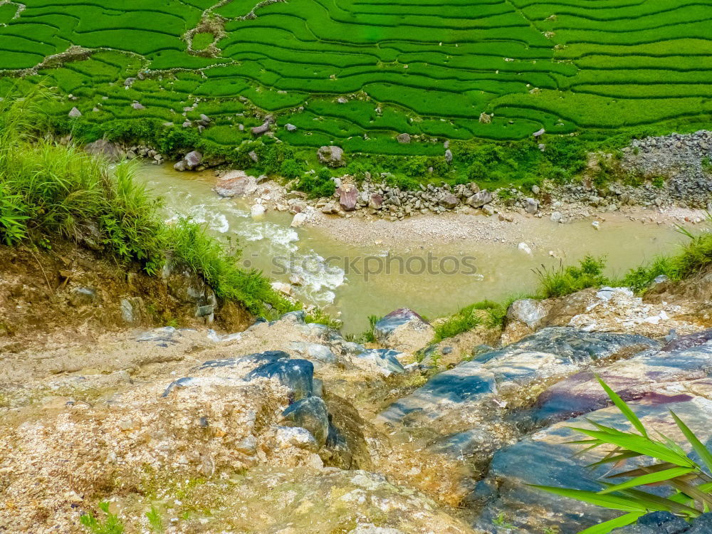 Similar – Image, Stock Photo yard Subdued colour