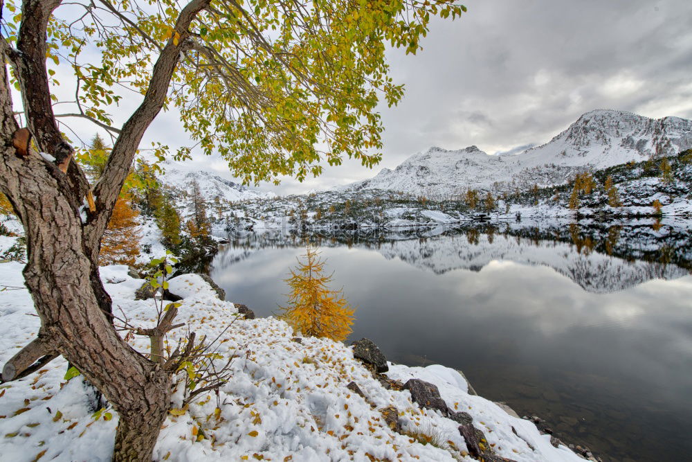 Similar – Image, Stock Photo Reflection of a mountain in the Dolomites III