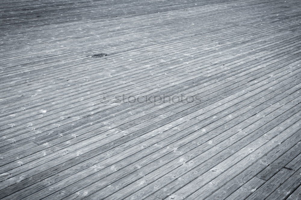 Image, Stock Photo All alone Leaf Town Places