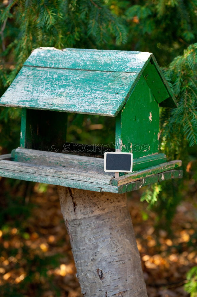 Similar – Homemade birdhouse for the winter made of old grey wood at the edge of the forest on a farm in Rudersau near Rottenbuch in the district of Weilheim-Schongau in Upper Bavaria