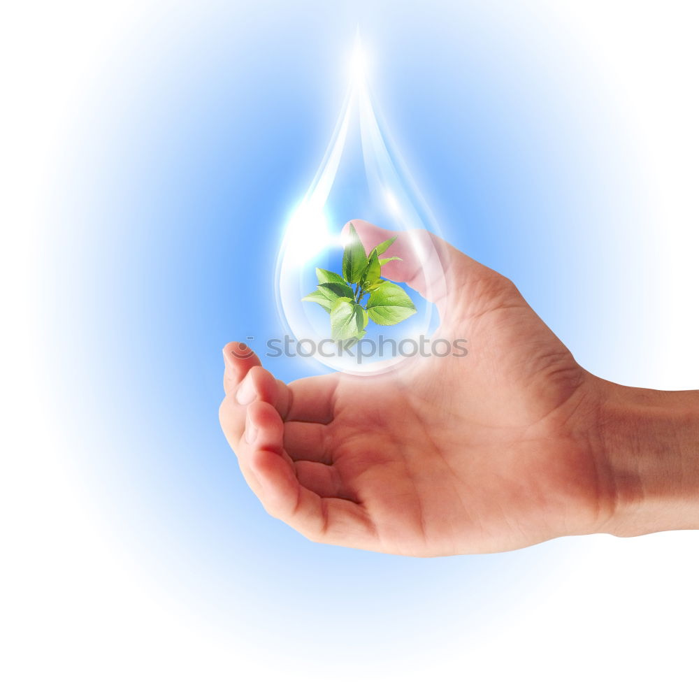 Similar – Image, Stock Photo The future in hands II