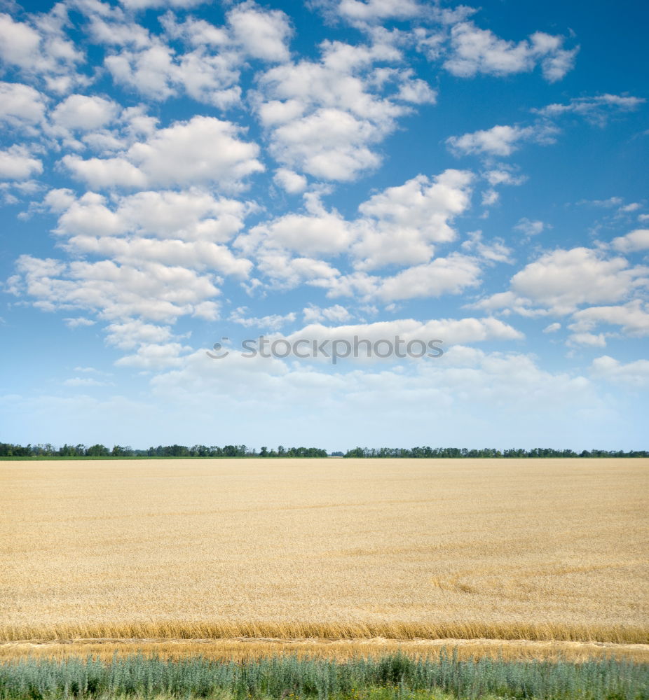 Similar – Image, Stock Photo field after the yield of wheat