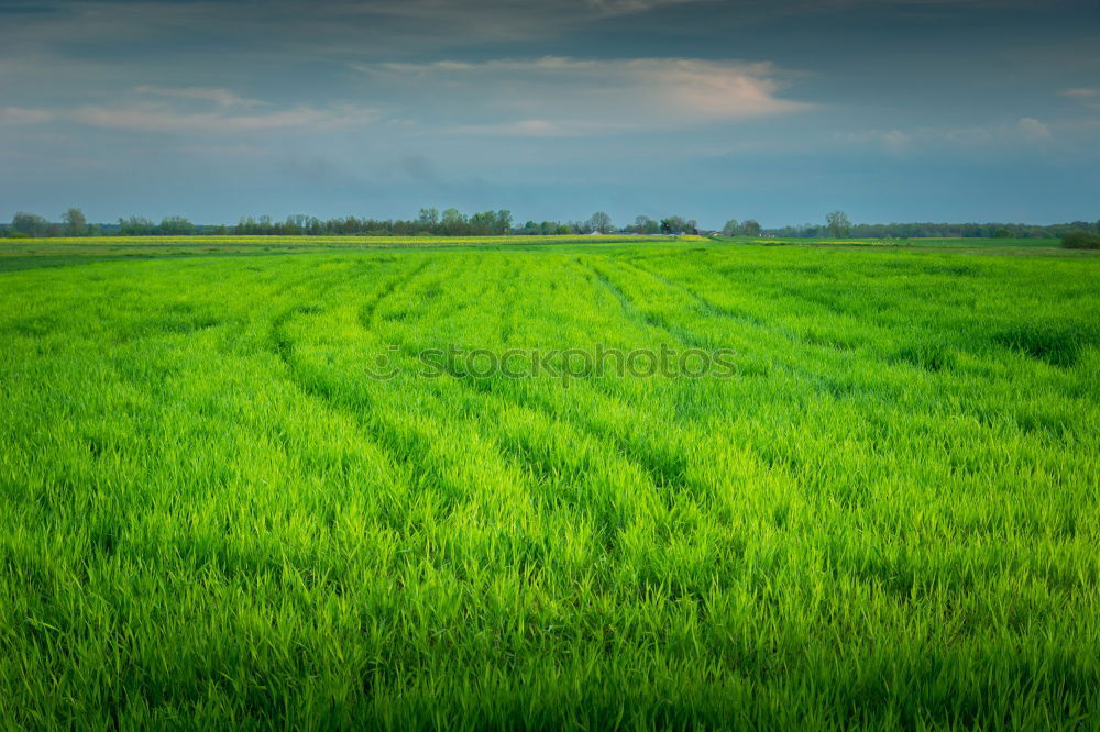 Image, Stock Photo World of Health on Sunday